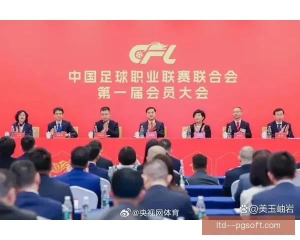 中国足球开启职业联赛最严格准入审核确保俱乐部规范发展